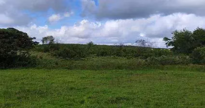 Chácara / sítio com 3 quartos à venda no Centro, Monte Alegre 