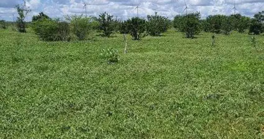 Fazenda com 45 hectares em jandaira com 2 poços tubulares 100% plana