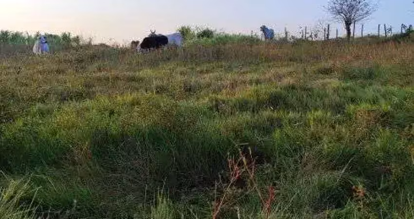 Granja com 7 hectares na região de monte alegre para criação de gado plantação etc.