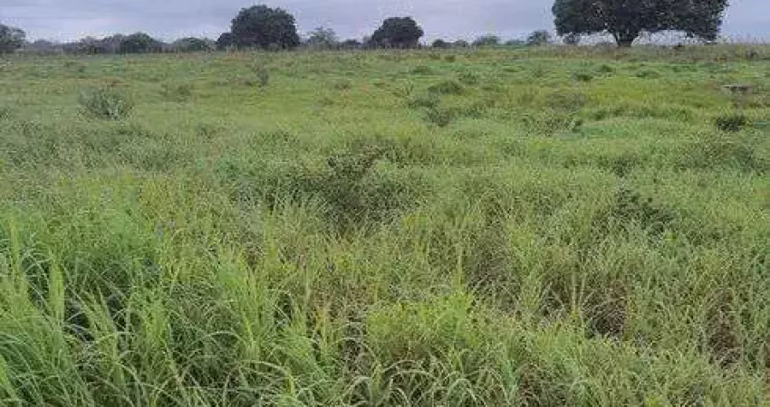 Fazenda com 20 hectares de porteira fechada com 35 animais