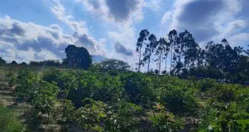 Área com 15.000 metros quadrados no centro de monte alegre com dois ascesso ao asfalto