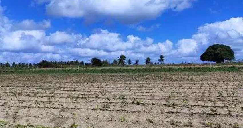 Excelente chácara com 14.400 metros quadrados bem estruturada na região de monte alegre