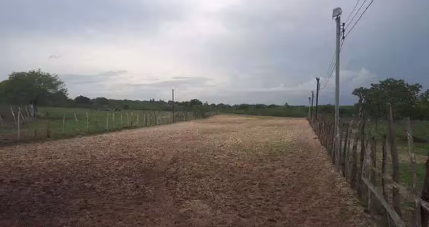 Ótima fazenda com 27 hectares de porteira fechada em traíras