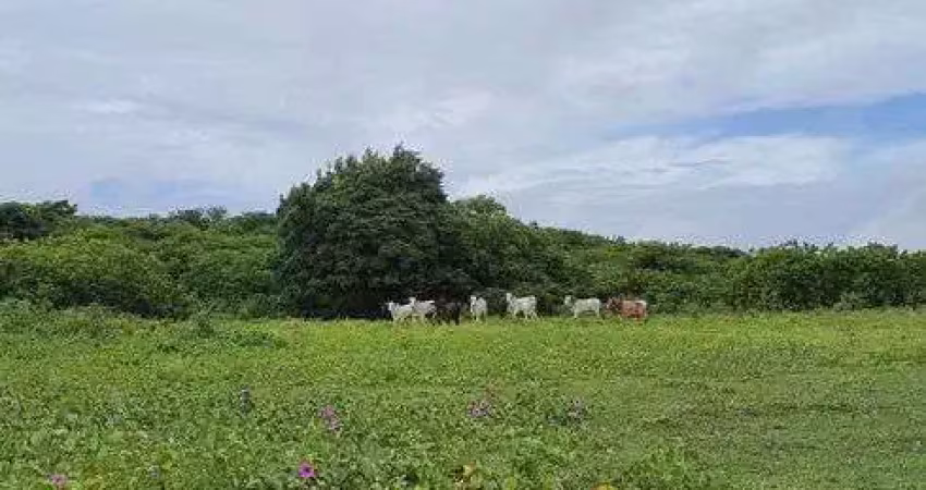 Linda fazenda com 30 hectares na região de monte alegre