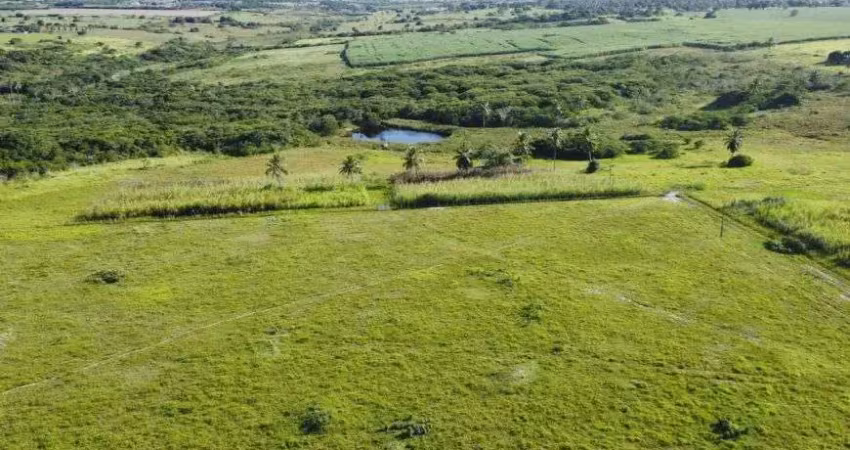 Excelente fazenda com 80.5 hectares em monte alegre estruturada rica em água
