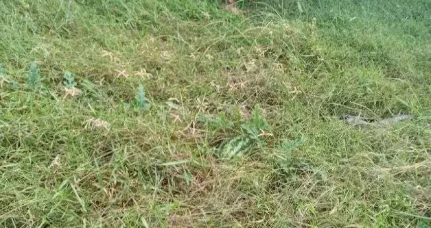 Excelente granja com 7.5 hectares na região de ceará mirim