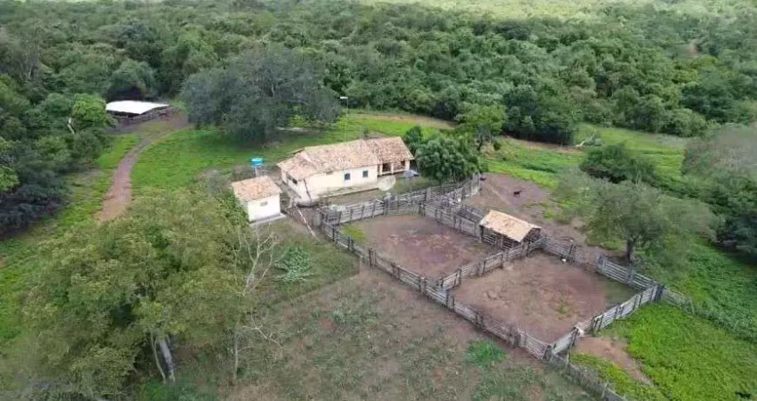 Fazenda com 5 mil hectares no estado do piauí são miguel do tapuio