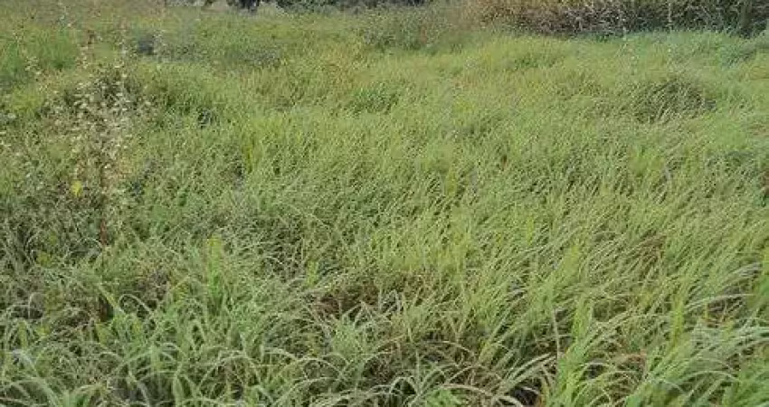 Fazenda estruturada com 40 hectares na região de monte alegre