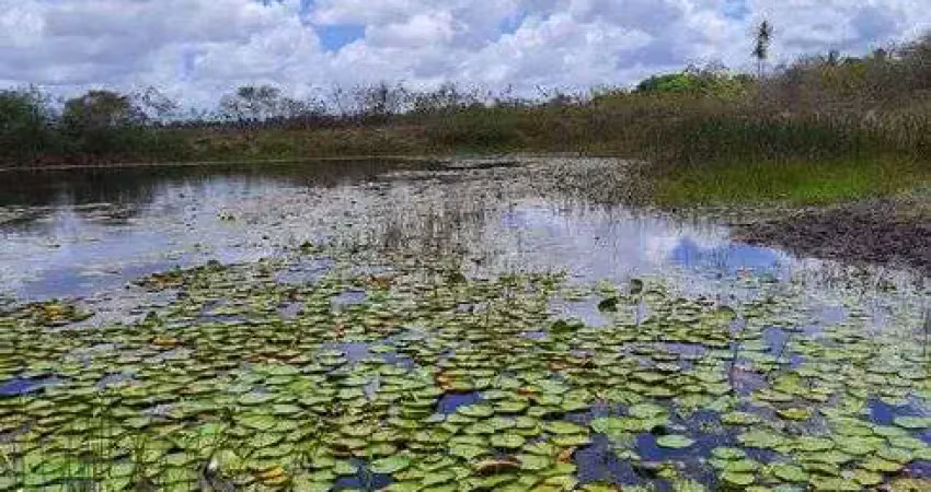 Fazenda/sítio/chácara para venda com 270.000 quadrados com 5 quartos