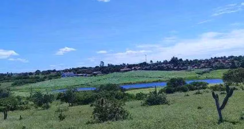 Fazenda com 107 hectares em monte alegre com grande potencial
