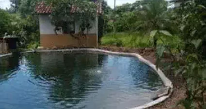 Excelente fazenda com 34 hectares em mendes município de são josé de mipibu