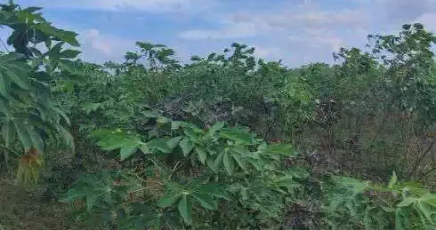 Excelente fazenda com 80 hectares na região de macaíba próximo a vera cruz