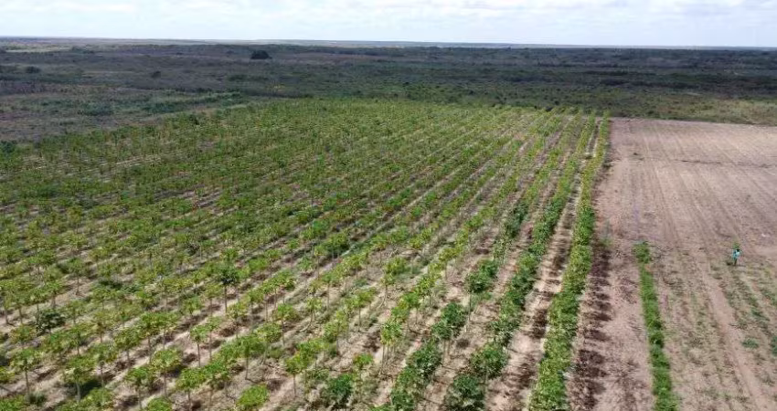Fazenda com 50 hectares na região de touros 100% desmatada e com 3 poço tubulares de alta vazão hs