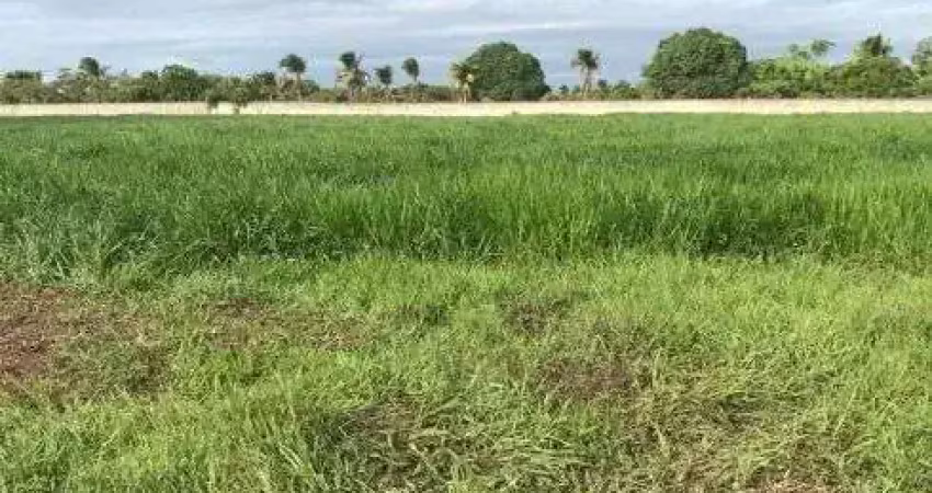 Fazenda com 69 hectares na região de ceará mirim 100% plana bem localizada