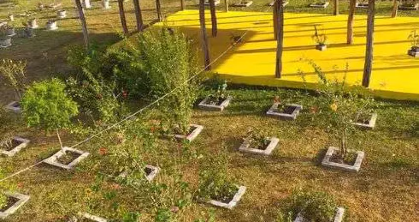 Propriedade com 1.3 hectares em monte alegre bastante estruturada
