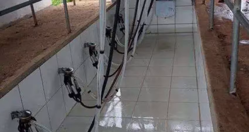 Chácara / sítio com 3 quartos à venda no Centro, Monte Alegre 