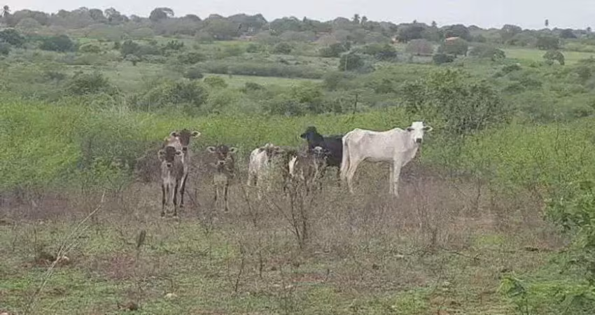 Fazenda com 27 hectares para criação de gado ou plantação