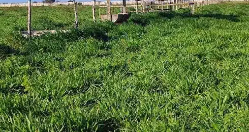 Fazenda com 300 hectares na região de são josé do mipibu estruturada