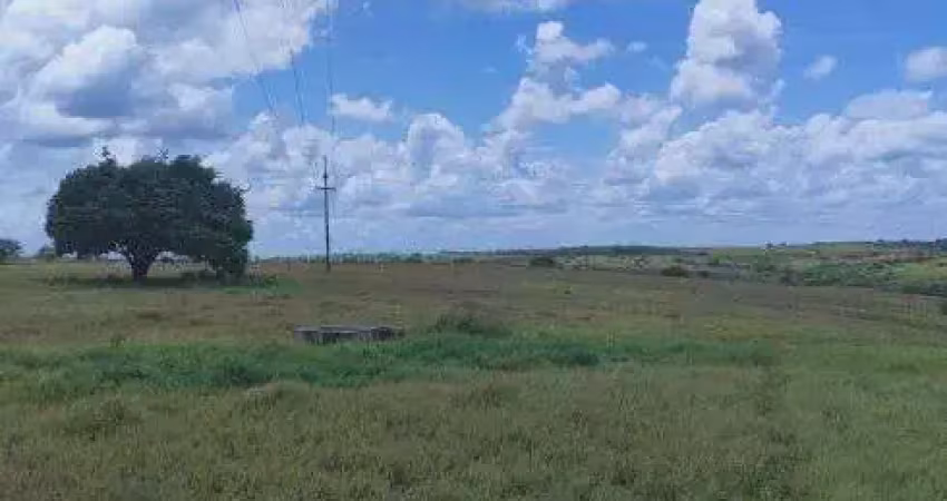 Chácara / sítio com 3 quartos à venda no Centro, Monte Alegre 