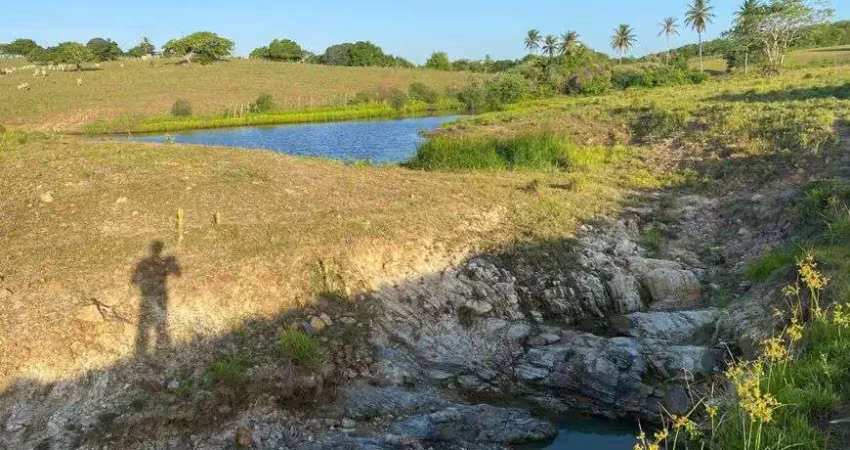 Fazenda de porteira fechada 20 hectares na região de monte alegre com estrutura de porteira fechada