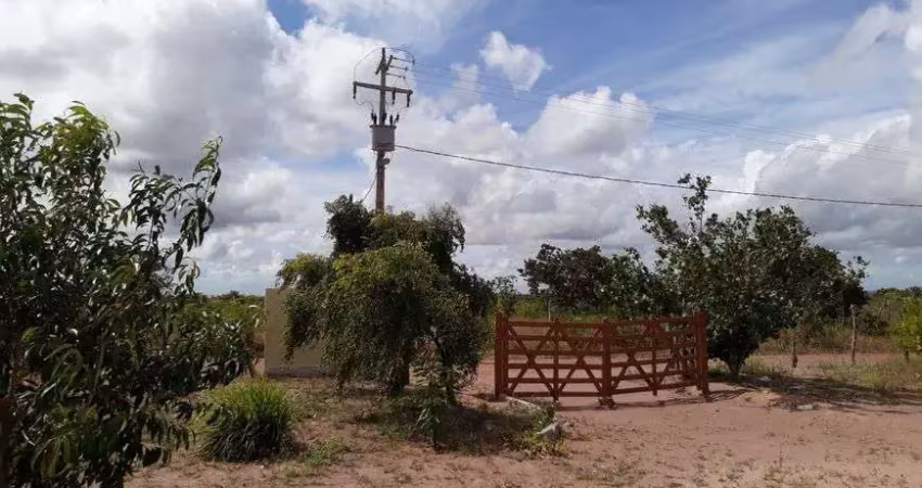 Otima granja com 3 hectares na região de ceará mirim