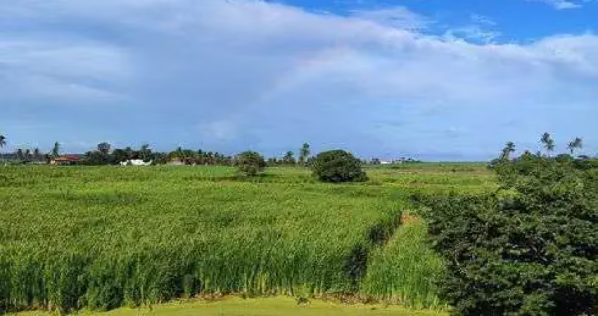 Fazenda com 55 hectares em são josé de mipibu frente para br101 com excelente localização etc.