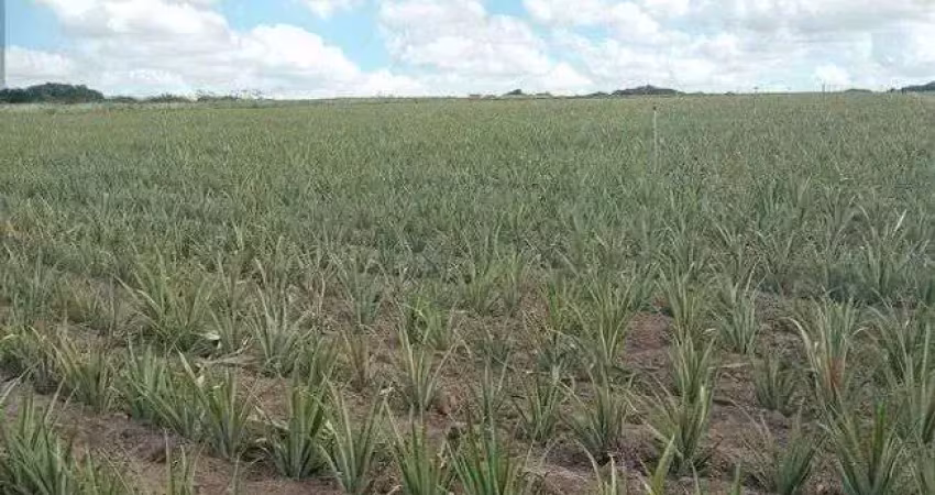 Chácara / sítio com 3 quartos à venda no Centro, Touros 