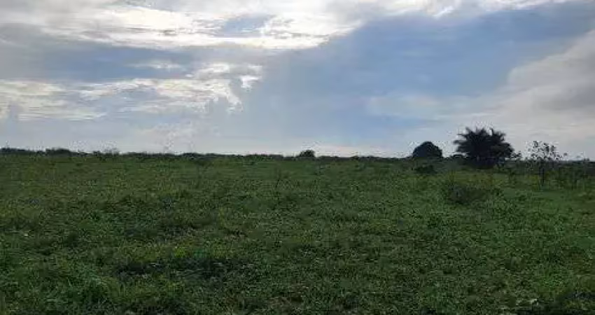 Fazenda/sítio/chácara com 200 hectares na região de boa saúde com açudes e lagoas 70% desmatada etc