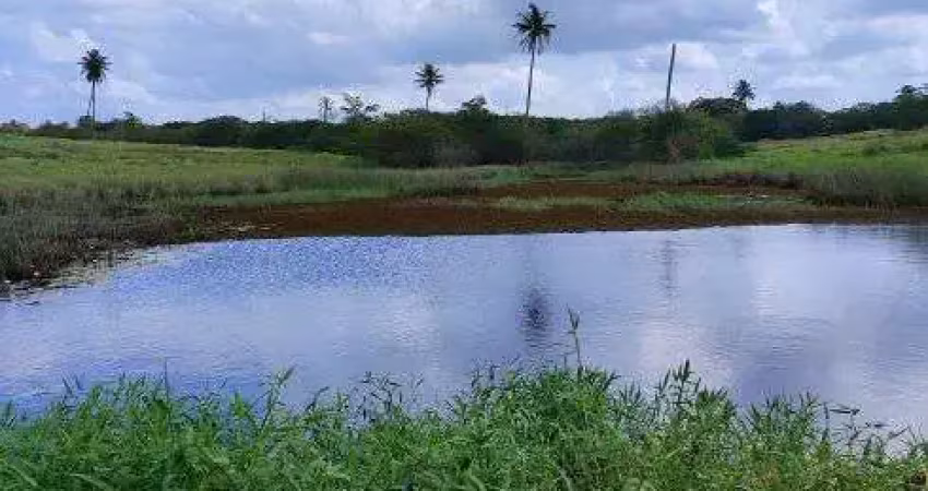 Fazenda com 103.8 hectares próximo a escola agrícola de jundiá boa de pasto e água
