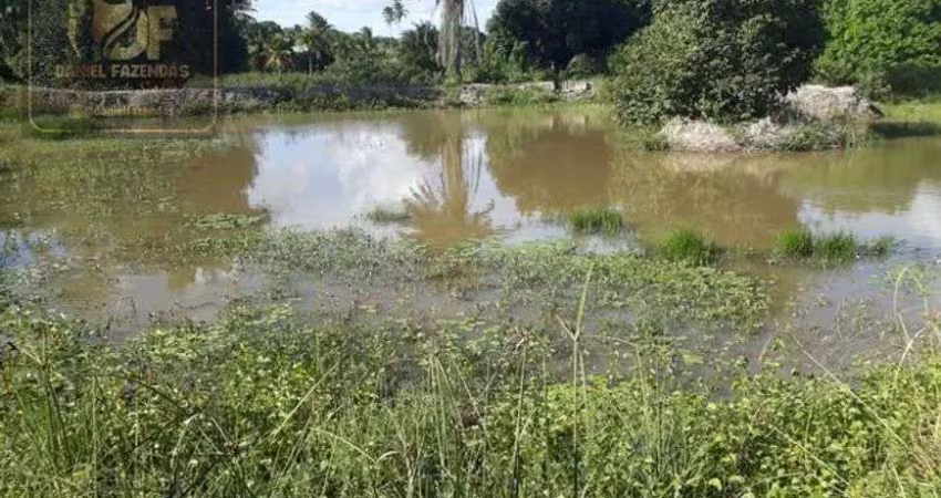 Linda fazenda com 15 hectares estruturada de tudo na região de vera cruz