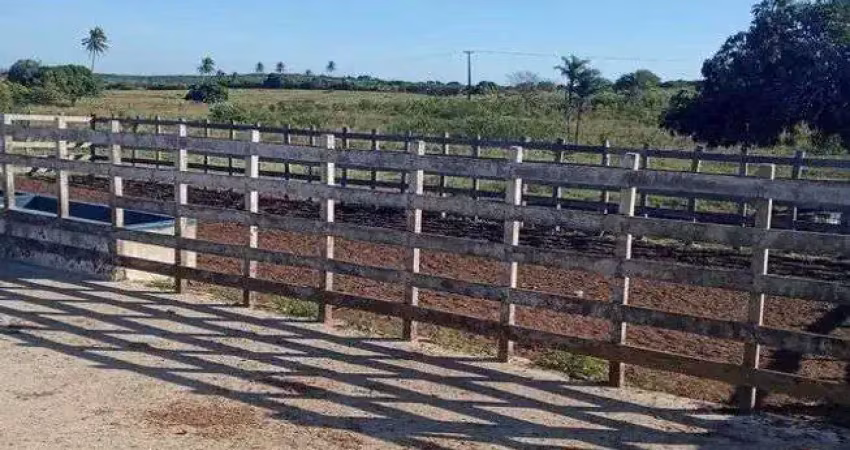 Chácara / sítio com 4 quartos à venda no Centro, Monte Alegre 