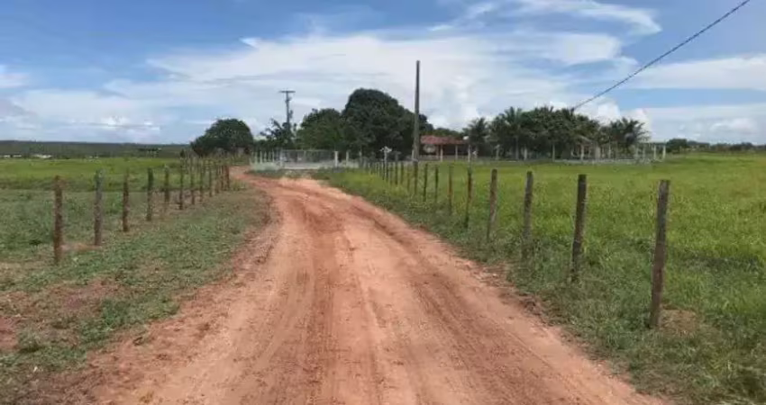 Excelente fazenda com 72 hectares na região de ceará mirim-rn