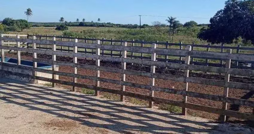 Chácara / sítio com 3 quartos à venda no Centro, Monte Alegre 