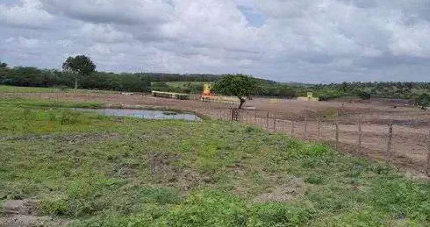 Chácara / sítio com 3 quartos à venda no Centro, Monte Alegre 