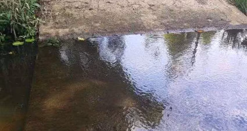 Fazenda com 125 hectares plana e com 80% desmatada top para condomínio fechado
