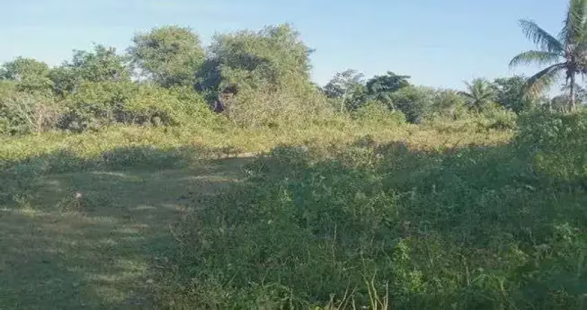Excelente fazenda com 49 hectares na região de são gonçalo do amarante