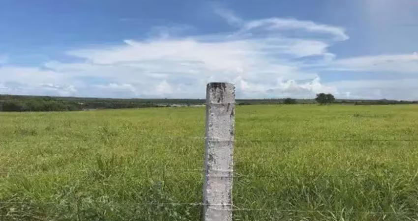 Fazenda com 72 hectares na região de ceará mirim-rn