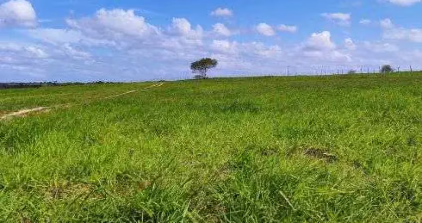 Fazenda com 220 hectares na região de monte alegre plantada e estruturada bastante água