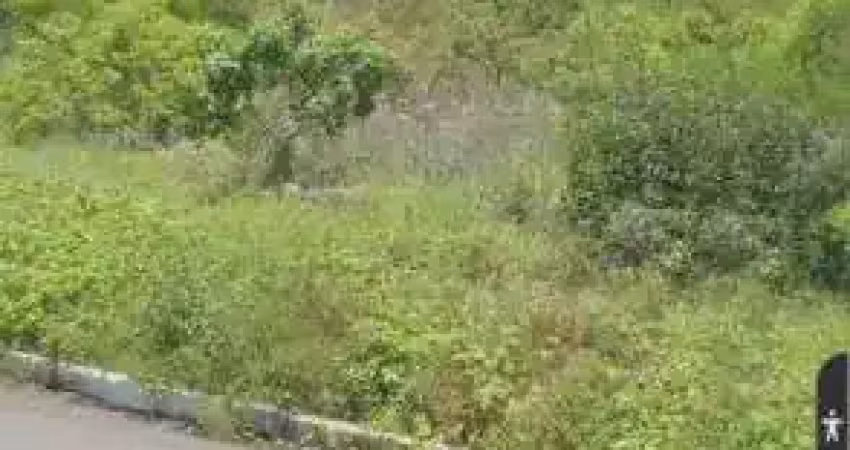 Excelente fazenda com 36 hectares com licença para exploração de pedreira