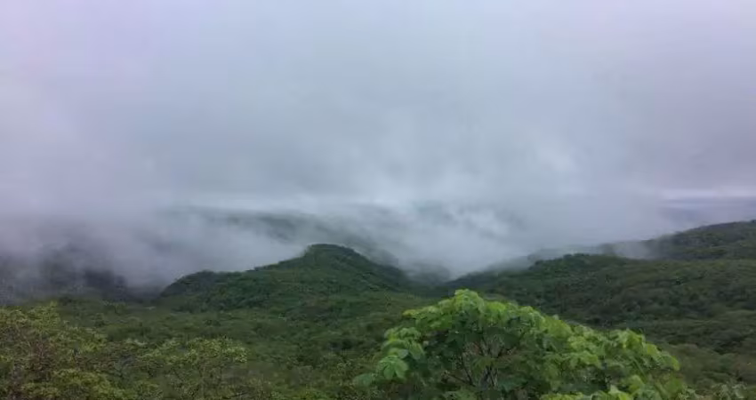 Fazenda com 611 hectares em cerro corá praticamente dentro da cidade com grande potencial