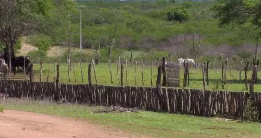 Chácara / sítio com 3 quartos à venda no Centro, São Pedro 