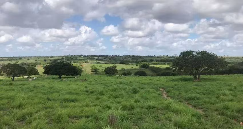 Chácara para venda com 20 hectares na região de monte alegre plantada com rio perene e poço tubular