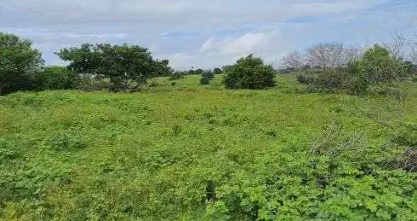 Fazenda com 30 hectares na região de monte alegre excelente para criação