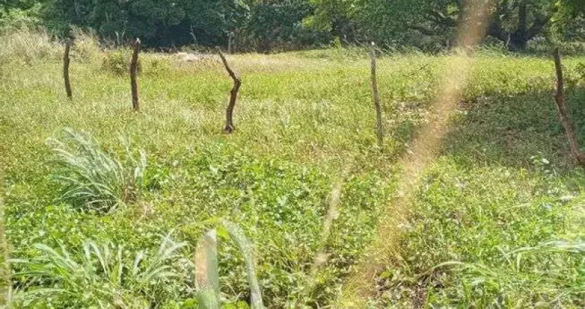 Excelente fazenda com 260 hectares na região de punau