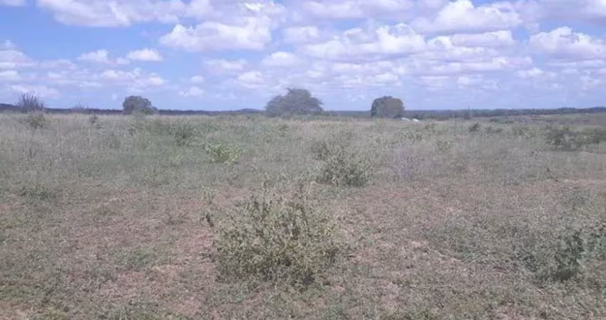 Fazenda com 570 hectares entre serra caiada e ganhará