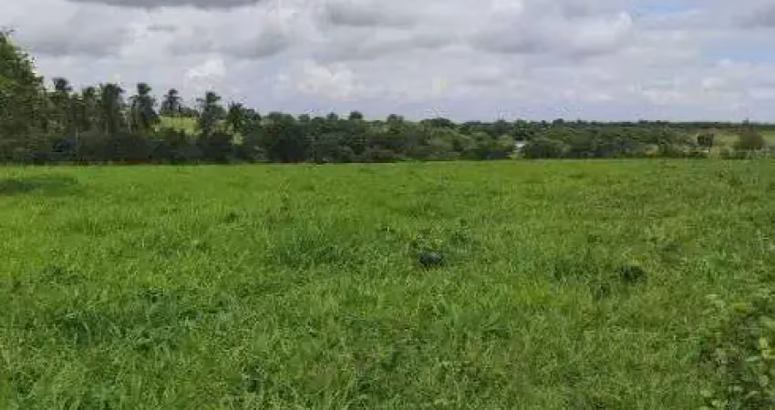 Fazenda com 1.000 hectares de porteira fechada na região de vera cruz