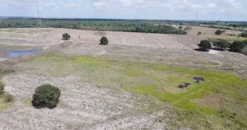 Fazenda com 300 hectares entre macaiba e parnarmirim