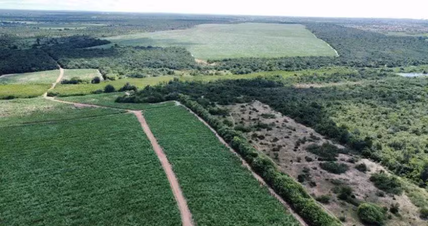 Área com 125 hectares para empreendimento imobiliários