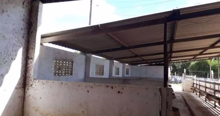 Fazenda com 80 hectares na região de são pedro do potengi