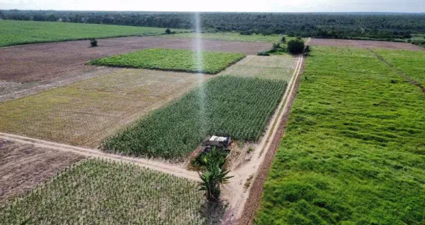 Fazenda com 47 hectares no arena terra para plantação de coqueiros e irrigação